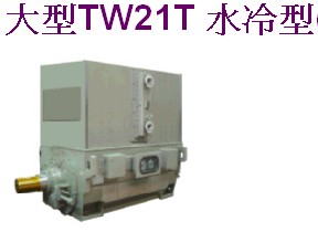 台湾大同TATUNG高压马达大同马达150KW-2000KW耐高压耐高温电机